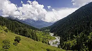 Vallée de Pahalgam, Cachemire.