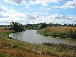 La rivière Paimionjoki à Prunkila, Marttila.