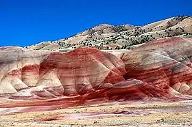 Vue des Painted Hills.