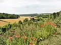 Le vallon - vue à partir de la rue de Paissy.