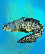 Palaeacanthaspis vasta, un Acanthothoraci.