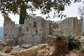 Ruines de murs construits avec de gros blocs de pierre rectangulaires ou carrés ; buisson au premier plan à droite ; arbre derrière les ruines ; ciel bleu, sommet arrondi d'une montagne vaguement perçu à l'horizon