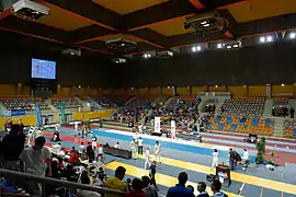 Championnat de France de sabre 2013 (escrime)