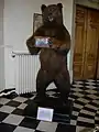 Un ours brun empaillé mesurant environ 2 mètres de haut est présent dans le palais. Tué par une compagnie de chasseurs russes, il fut offert en signe d’amitié en 1898.