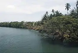 1992 : Berge relativement naturelle sur l'archipel des Philippines.