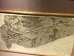 L'holotype de Microraptor exposé au musée.