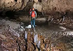 Formes de corrosion dans la Cueva de Palestina, Nueva Cajamarca, Rioja, San Martin, Pérou.