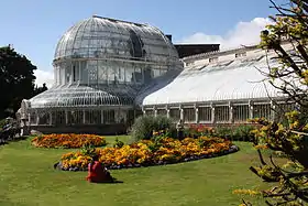 La Palm House, serre tropicale du jardin botanique de Belfast.