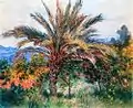 Palmier à Bordighera, Claude Monet 1884