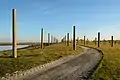 Des poteaux plantés dans l'espace Baylands pour préserver la nature  à Palo Alto[Comment ?]. Janvier 2013.