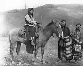 Image illustrative de l’article American Indian Horse