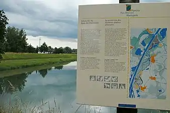 Panneau d'information touristique bilingue franco-allemand expliquant la protection des plaines alluviales auprès d'un plan d'eau.