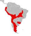 Aire de répartition du Chat des Pampas (Leopardus colocolo) considéré comme une espèce unique.