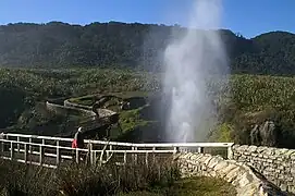 Geyser maritime à côté du chemin.