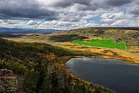 Image aérienne de Pando au Fishlake National Forest dans l'Utah, surligné en vert.