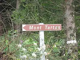 Image illustrative de l’article Mont Tartas