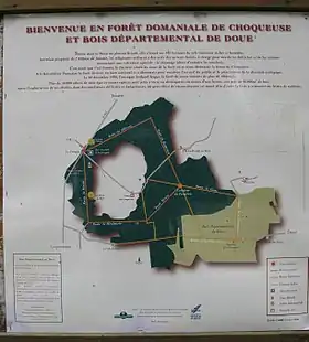 Image illustrative de l’article Forêt de Choqueuse