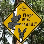 Panneau de signalisation australien en forme de losange, de couleur jaune, sur lequel figurent un koala et un kangourou avec la mention en anglais We live here too. Please drive carefully(Nous vivons aussi ici, roulez prudemment)