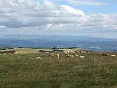 Panorama vers le sud depuis le sommet.