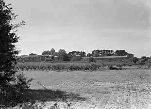 Le monastère vu depuis les oliveraies.