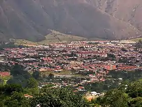 Ejido (Venezuela)