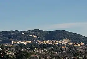 Frascati