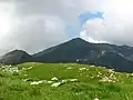 Paysage dans les monts Parâng.