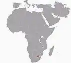 Carte du continent africain, le point rouge, situé en Afrique du Sud, montrant le site du « berceau de l'humanité », lieu où a été trouvé Australopithecus sediba.