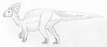 Représentation de Parasaurolophus avec un pan de peau allant de la crête au dos.
