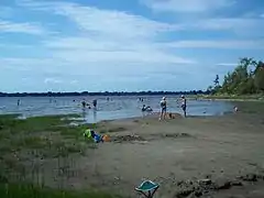 Une plage de sable et d'herbes, des personnes se baignent dans un plan d'eau.