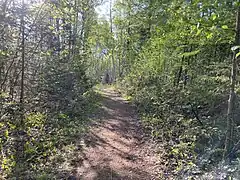 Sentier au parc Cœur Nature