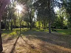 Le parc de jogging défriché après plusieurs années d'abandon.