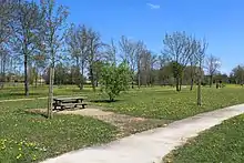 Un parc où une table de pique-nique se situe devant une rangée d'arbres.