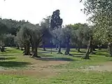 Le parc des arènes de Cimiez