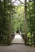 Pont suspendu au-dessus des chutes.