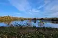 Bassin sud du parc de Lormoy, vallée de l’Orge (Essonne).