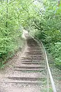 Grand escalier à côté du rucher.