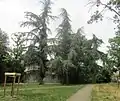 Grands arbres dans le parc Commune de Paris