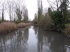 Etang de Tourvoie dans le parc des sports à Fresnes.