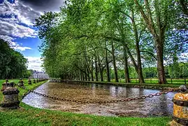 Le canal bordé de platanes.