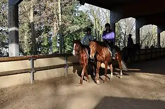 Poney Club du Mont-Valérien.