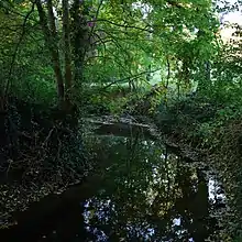 Parc du Morbras à Sucy-en-Brie.