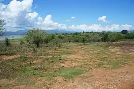 Dans le parc national de Uda Walawe au Sri Lanka