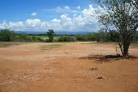 Dans le parc national de Uda Walawe au Sri Lanka