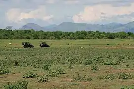 Dans le parc national de Uda Walawe au Sri Lanka