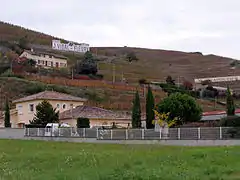 Parcelles du vignoble à Ampuis