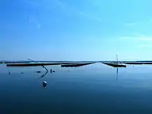 Parcs ostréicoles dans le Golfe du Morbihan