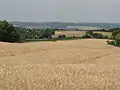 Paysage avec vue sur l'église de Pargnan.