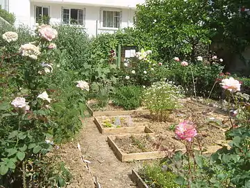 Un jardin partagé borde la pelouse du Jardin Paul-Nizan dans le 13e arrondissement de Paris.