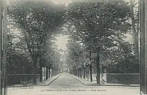 Photographie en noir et blanc d'une allée bordée d'arbres au bout de laquelle on aperçoit des bâtiments